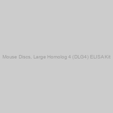 Image of Mouse Discs, Large Homolog 4 (DLG4) ELISA Kit